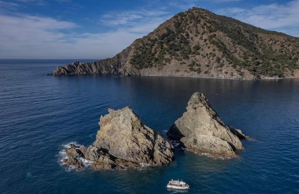 Les Bois Flottes . Plage De La Verne Ла-Сейн-сюр-Мер Экстерьер фото
